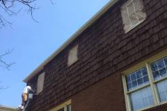 Ellicott City Cedar Shake Back of House Staining & Painting